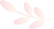 中國美容博覽會