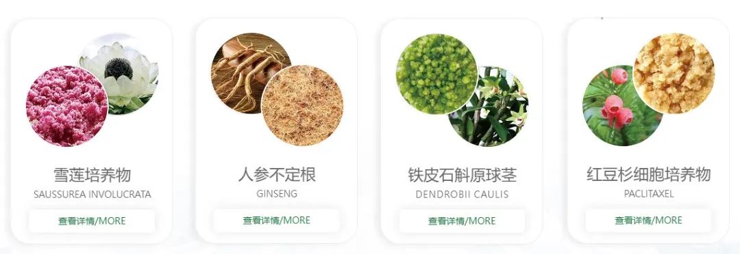 中國(guó)美容博覽會(huì) 中國(guó)美容博覽會(huì)