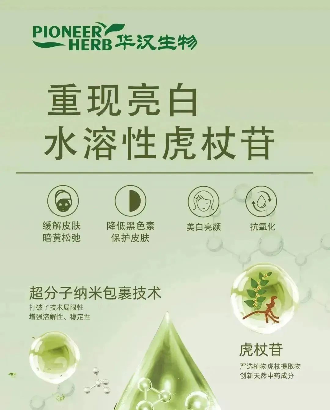 中國(guó)美容博覽會(huì) 中國(guó)美容博覽會(huì)