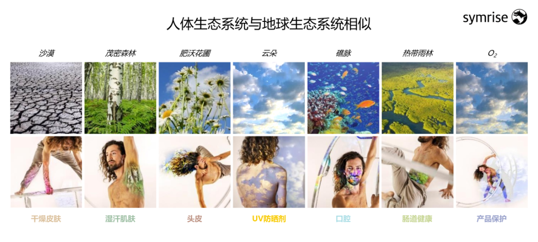 中國美容博覽會 中國美容博覽會