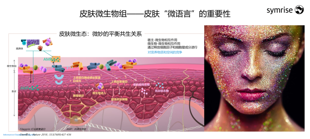 中國美容博覽會 中國美容博覽會